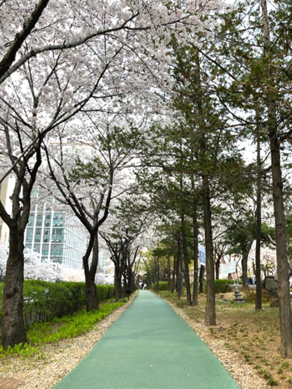 Jeongdam Guest house Seoul